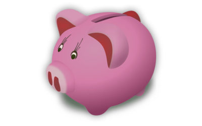 Szkolne Kasy Oszczędnościowe PKO Banku Polskiego („SKO”)