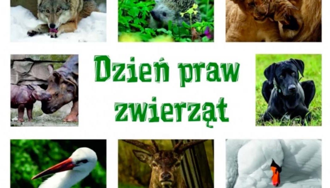 Dzień Praw Zwierząt