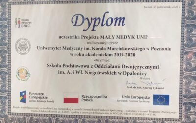 Podsumowanie Projektu Mały Medyk