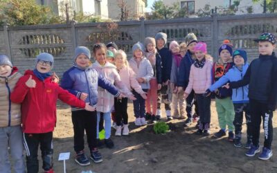 „Las kieszonkowy z okazji Dnia Edukacji Narodowej”