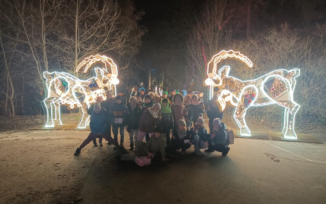 1d i 2c w kinie i Lumina Parku