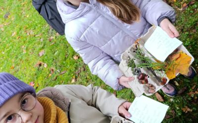 🍁🌳 Jesień w parku i lesie z 1c i 2c 🍂🧺