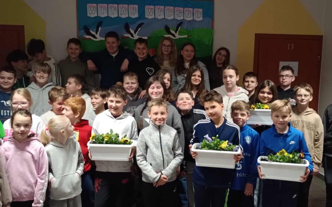 ? 3e i 6d ? współpraca kwitnie ?